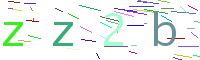 検証コード