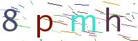 検証コード
